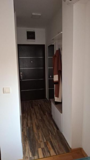LUX APARTMENT during EXIT -LUX STAN za vreme EXIT-a